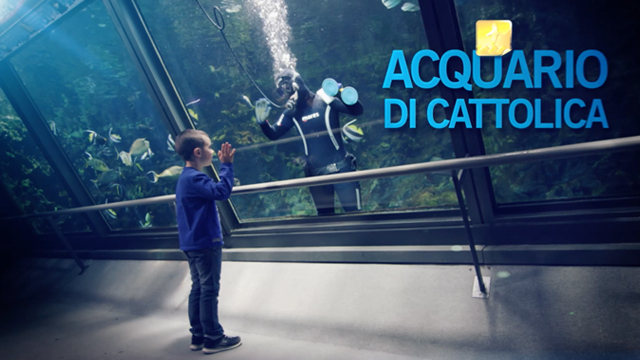 Acquario di Cattolica - Esistono luoghi che tieni sempre con te