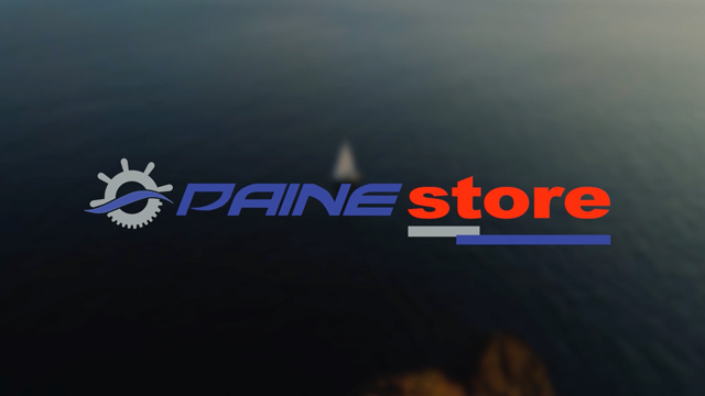 Painestore - Brand Identity